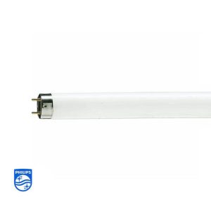 den soi mau master tl d philips