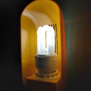 hinh anh thuc te philips billy 2