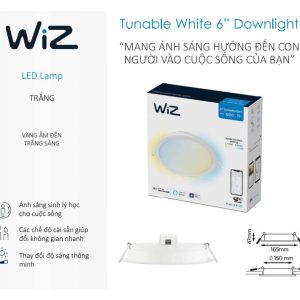 thong tin san pham philips wiz